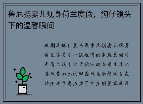 鲁尼携妻儿现身荷兰度假，狗仔镜头下的温馨瞬间